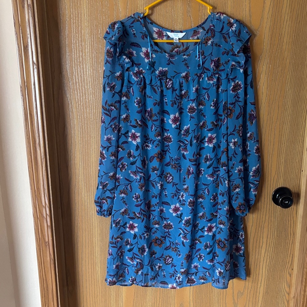 Time and Tru Floral Blue Dress